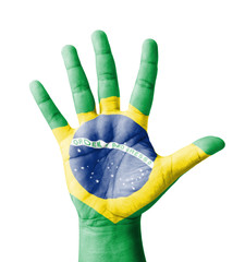 Open hand raised, multi purpose concept, Brazil flag painted