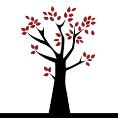 Fototapeta premium Cute tree