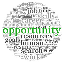 Opportunity and success concept in word tag cloud on white