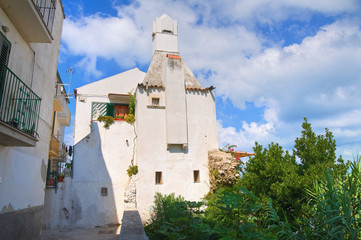 Fototapeta premium Alleyway. Rodi Garganico. Puglia. Italy.