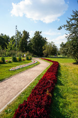 Fototapeta premium Stone walk way winding in a garden