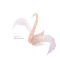 Naklejka premium Fragility swan