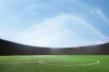 Digital composit of soccer field and blue sky © xixinxing
