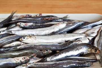 Plate whit raw anchovies.