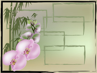 pink orchids and green bamboo branches