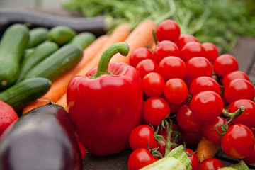 Fresh farmers market vegetable still life