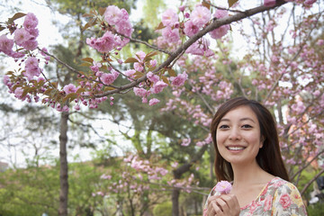 Portrait of smiling young woman under a blossoming tree holding a pink blossom in the park in springtime