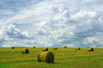 Rolled straw