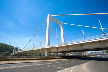 Fototapeta na wymiar Elisabeth Bridge connecting the two riversides of Budapest