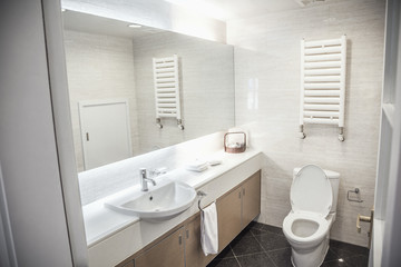 Modern, clean, bathroom with toilet and sink. 