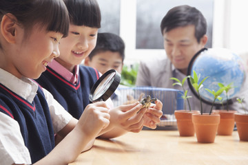 Schoolgirls examining turtle through magnifying glass in the classroom