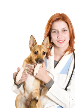 vet and dog golden color