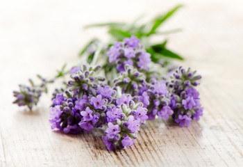 Obraz na płótnie Canvas Fresh lavender on a wooden background