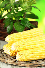 Crude corns on wooden tray on wooden table on nature background