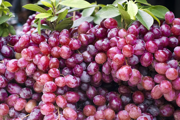 Grapes
