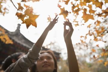 Mother and son reaching for a leaf on a branch in the autumn