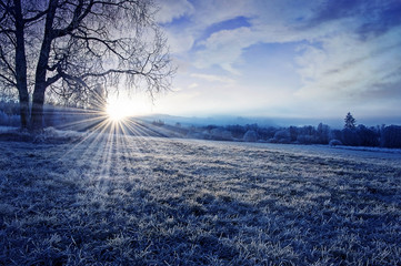 winter morning with sunrise
