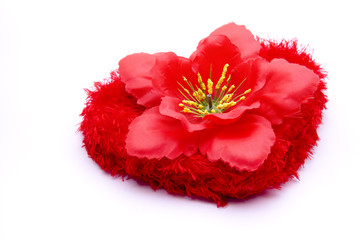 Hibiskusblume © UMA