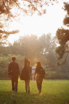 Teenagers Hanging Out In The Park 