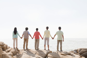Multi-generational family holding hands on rocks by the sea, rear view