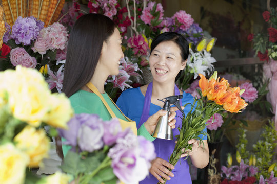 Two Mature Women Working In Flower Shop