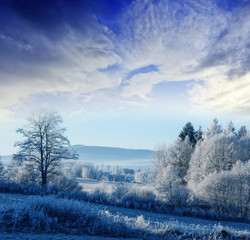 a winter morning with a sunrise - frozen landscape