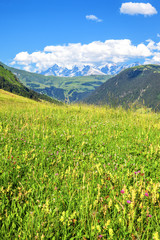 Fototapeta na wymiar landscape of french Alps