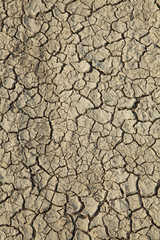 terre craquelée par la sécheresse