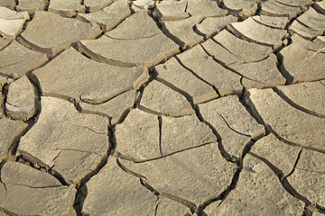 terre craquelée par la sécheresse