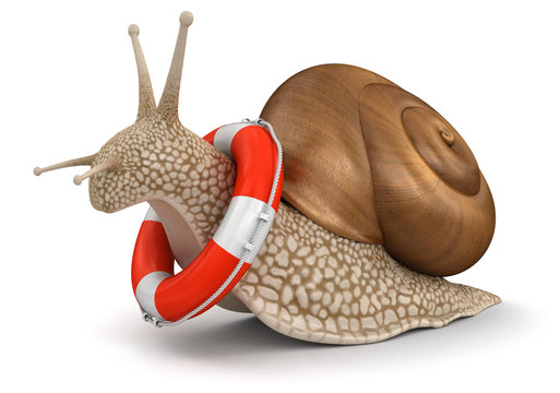 Snail and Lifebuoy (clipping path included)