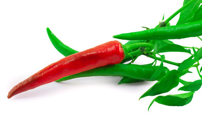 hot peppers