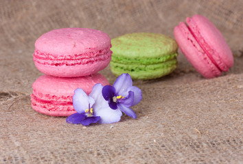 Macaroons in pink and Light Green