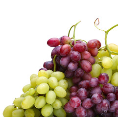 fresh green and rose grapes