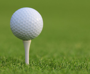 Golf ball on green grass. Closeup