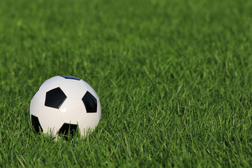 Fototapeta premium soccer ball on green grass. football