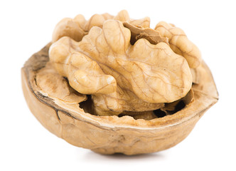 Open walnut isolated on white background