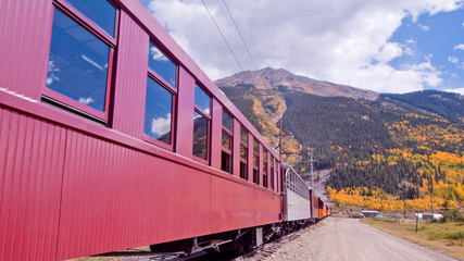 Narrow Gauge Train