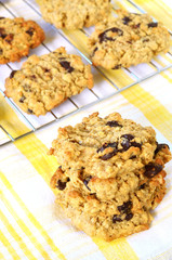 Chocolate chip oatmeal cookies