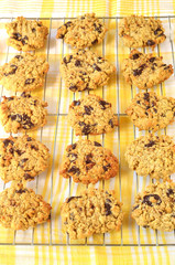 Chocolate chip oatmeal cookies