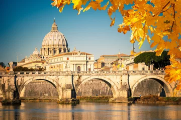 Fototapeten Petersdom in Rom © sborisov
