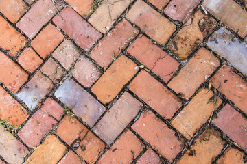 old tiles at the sidewalk with plants in the joints