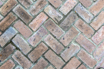 old tiles at the sidewalk with plants in the joints
