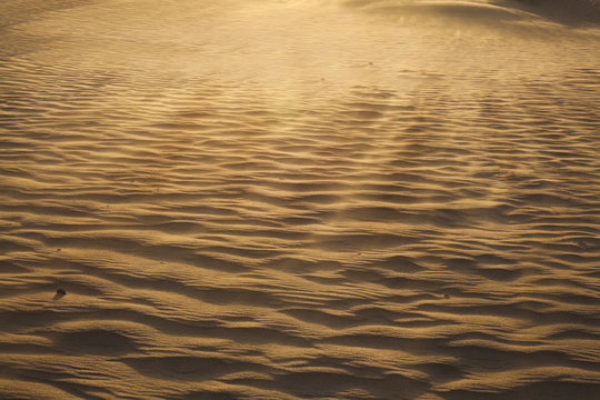 Landscape shot of the desert and the wind pattern on the sand, full frame