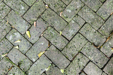 Obraz premium old tiles at the sidewalk with plants in the joints