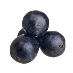 Amazon acai fruit isolated on white background.