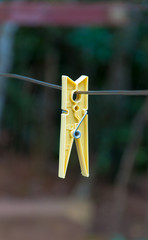 Clothes peg on clothesline cord