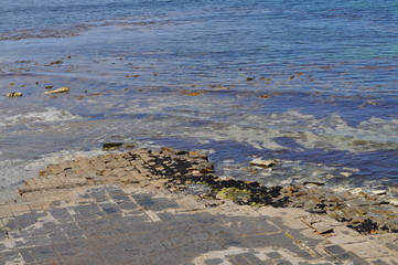 The Tessellated Pavement, natural phenomenon in Tasmania.