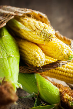 Fresh Sweet Corn on the wooden table, selective focus