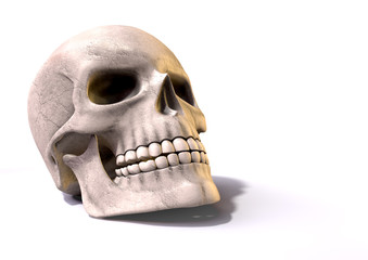Skull Perspective