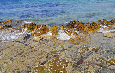 The Tessellated Pavement, natural phenomenon in Tasmania.